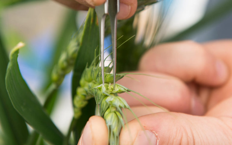 Research proposal topics in genetics picture